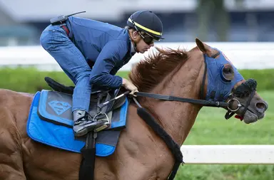 All-time N.Y.-bred earner Mind Your Biscuits dies suddenly in Japan at 13
