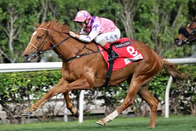 Ricky Yiu plots BMW Hong Kong Derby path with Simply Maverick