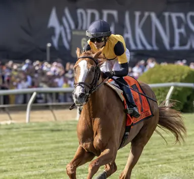 Reagan's Wit looks to keep it rolling for DeVaux
