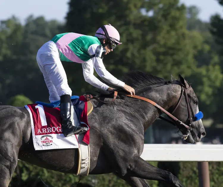 Arrogate14.8-27-16.BL_.jpg