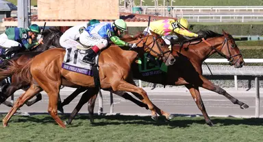 Brad Free's Santa Anita horses to watch from week of Oct. 27-Nov. 5, 2023