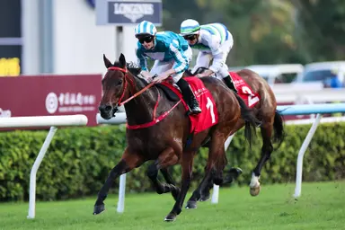 Romantic Warrior dazzles with return success in BOCHK Jockey Club Cup