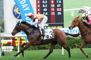 Hall has high hopes for Atullibigeal in Hong Kong Reunification Cup Handicap