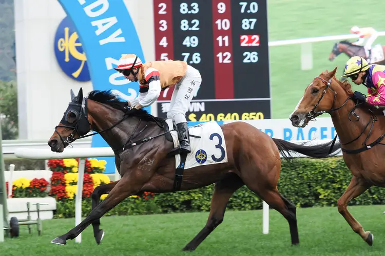 news_2024062801230_01.jpg