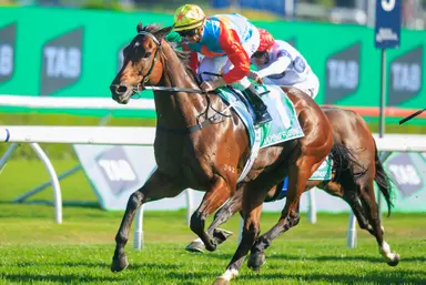 Hayes upbeat over Ka Ying Rising ahead of Bank of China (Hong Kong) Race Day
