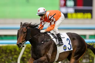Bulb General’s long-awaited return headlines competitive Sha Tin Sunday