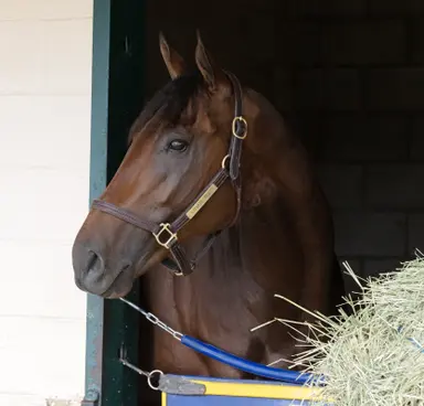 Sitting on the Kentucky Derby bubble: Two out, two move up