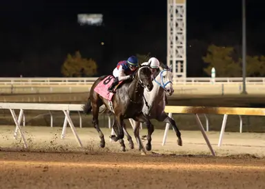 Otto the Conqueror outduels Glengarry in Springboard Mile