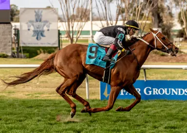 Lagynos has no trouble with Fair Grounds Stakes' nine furlongs