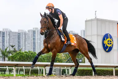 Morris relishing FWD Champions Mile challenge with globetrotting Brave Emperor