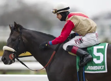 Unified having success producing early winners