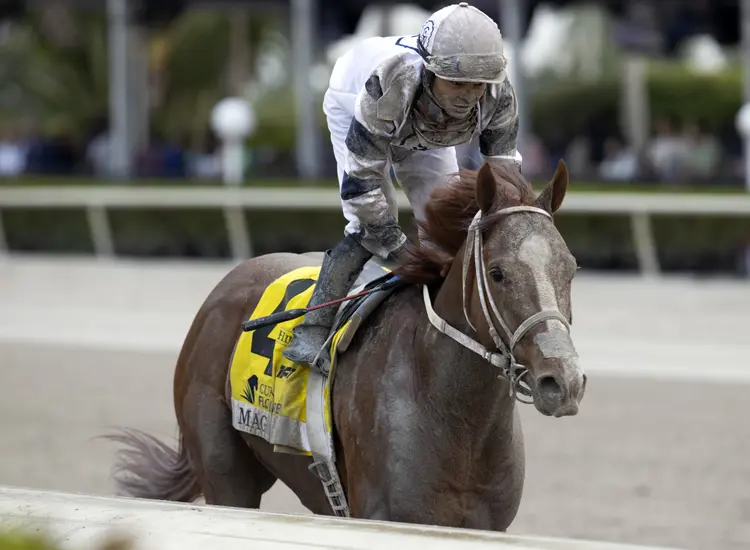 Mage returns after Florida Derby April 1 2023