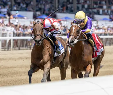 Grand Job likely to face Ways and Means again in Ballerina