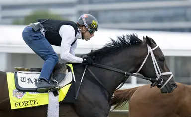 2023 Kentucky Derby: Forte favored, will start from post 15