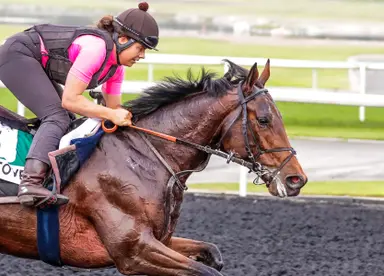 Undefeated Ace Impact tepid favorite in Arc de Triomphe