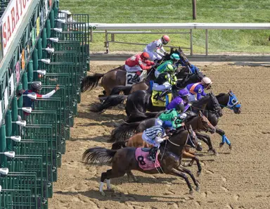DRF's Horse Racing Playbook for Wednesday, August 16, 2023