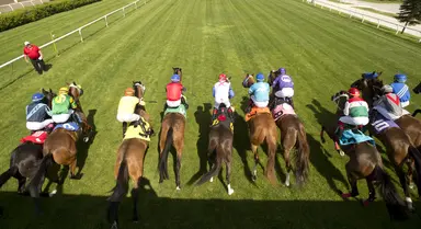 Crevalle d'Oro gets more ground, blinkers in search of breakthrough
