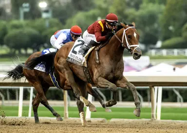 Kentucky Derby 2025: Journalism works with stablemate Endlessly