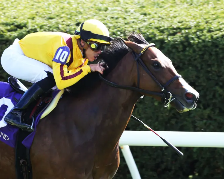 TWILIGHT GLEAMING - The Giant's Causeway - 26th Running - 04-15-23 - R08 - Keeneland Race Course - Finish 03.jpg