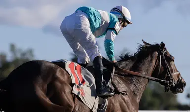 Rothko looks to sustain momentum on tighter-than-usual turnaround