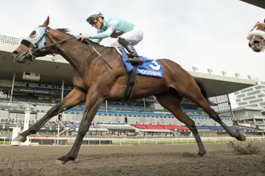 My Covenant leads all the way in Sophomore Stakes