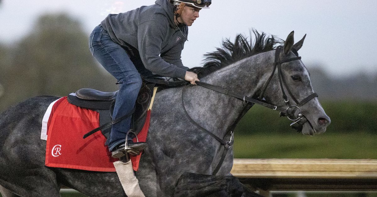Breeders' Cup Filly and Mare Turf: Classic Q will try to get added ground