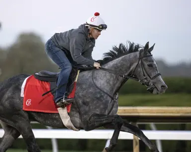 Breeders' Cup Filly and Mare Turf: Classic Q will try to get added ground