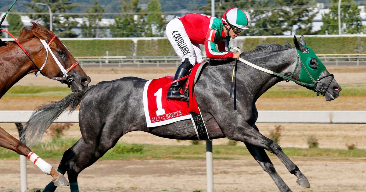 Wenzel has strength in numbers on four-stakes card