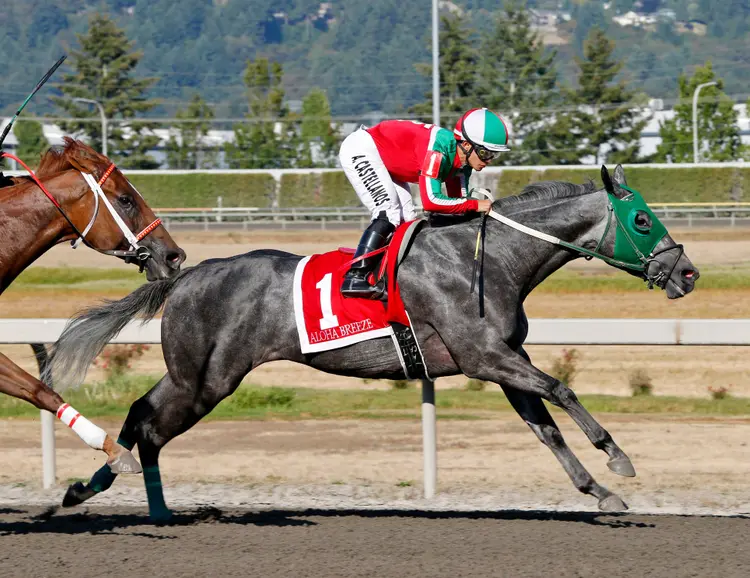 Aloha Breeze.Emerald Distaff Aug 16 2026
