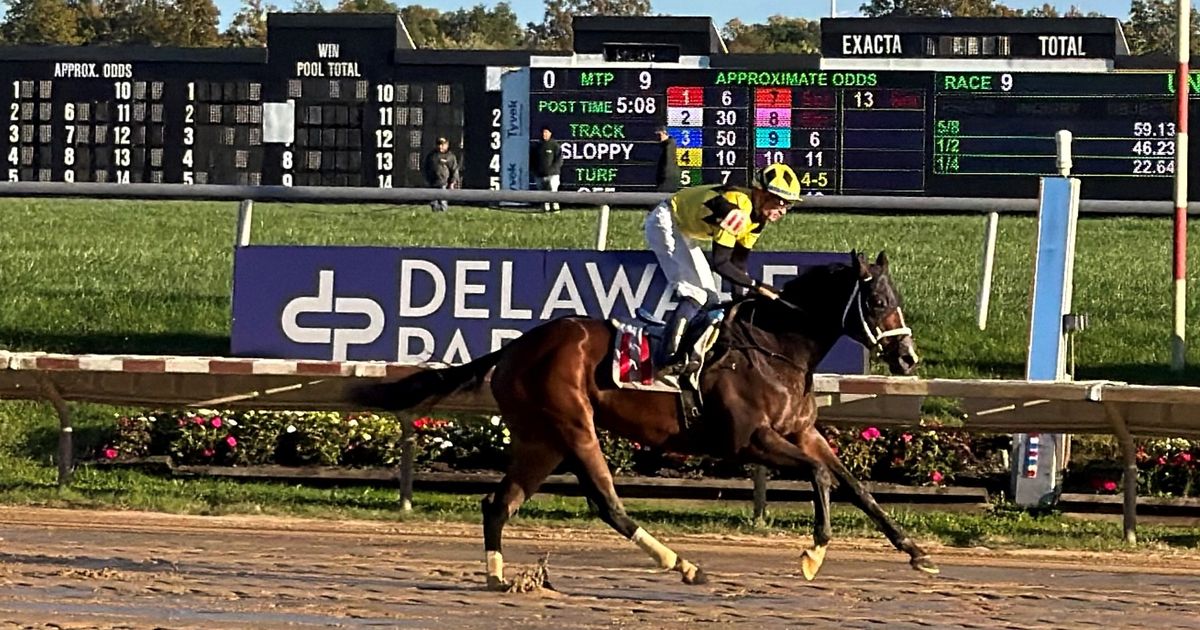 Maida takes Endine Stakes; Quint's Brew prevails in Wilmington