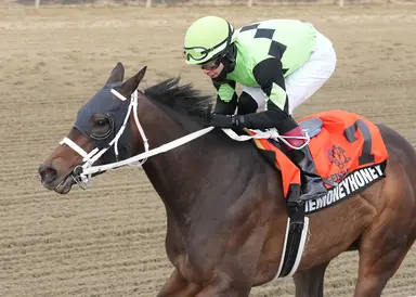 Moore pondering next start for Takethemoneyhoney after tough defeat