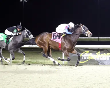 The Town Tempter has fitness edge in Valdale Stakes