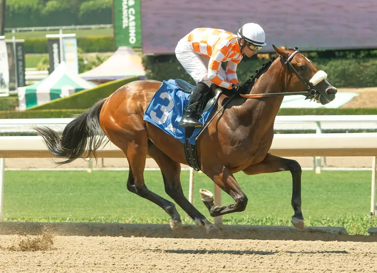 Kennyten wins debut at SA June 12 2026