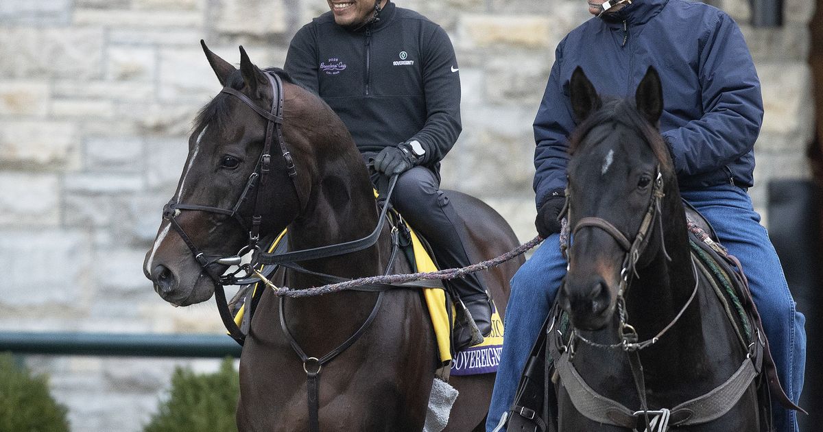 Breeders' Cup Clocker: Sovereignty has solid work on quiet morning