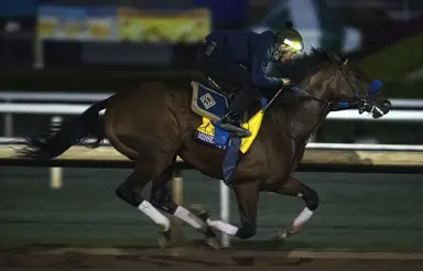 Missed the Cut meets fellow stakes winners in Soldier's Dancer