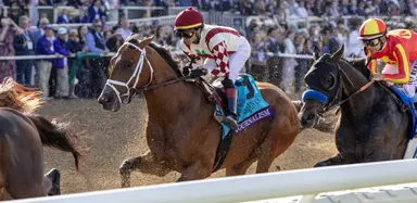 Journalism in consideration for Met Mile after strong third in Oaklawn Handicap
