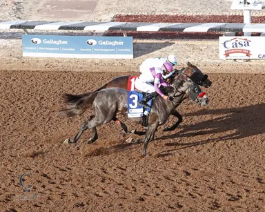 Top Sunland Derby finishers consider next steps