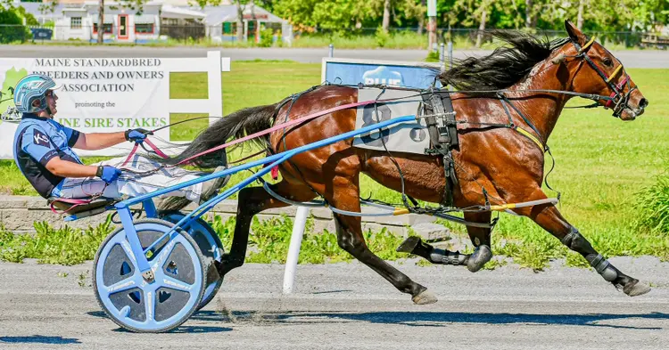 Kevin Switzer Jr_4000_6-17-26_Bangor_Joe Shaw photo