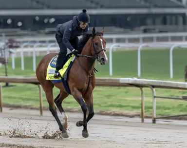 Potente euthanized due to rare ailment