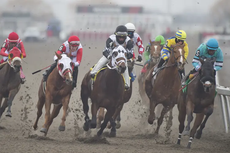 Woodbine scenic03.12.17.23.MB_.jpg