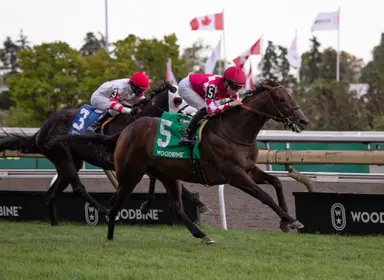Canada has breakthrough in Cup and Saucer Stakes