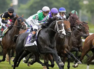 Touch of Fire may be best bet in deep, crowded Gun Runner