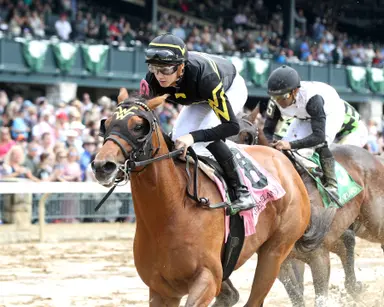 Over 1,200 2-year-olds cataloged for OBS spring sale