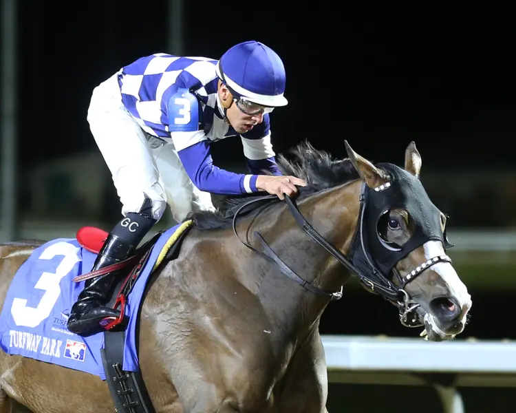 CATICHE - The My Charmer - 35th Running Of - 12-09-23 - R07 - Turfway Park - Finish  03.jpg