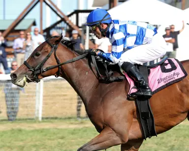 Keeneland Championship Sale to offer share in Breeders' Cup hopeful Kilwin