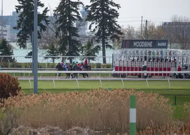 Off runaway debut win, Mrs D tests stakes company in My Dear