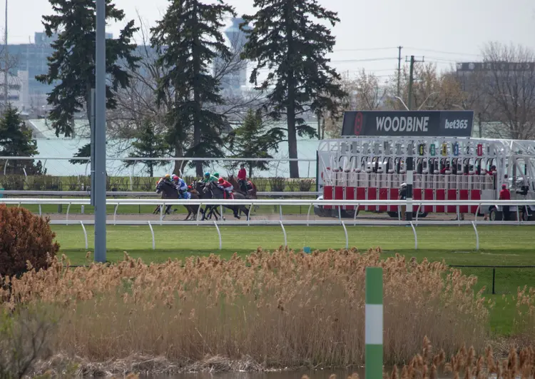 Woodbine Scenic01.04-26-26.JUW