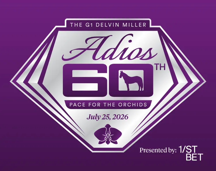 Adios 60 Logo