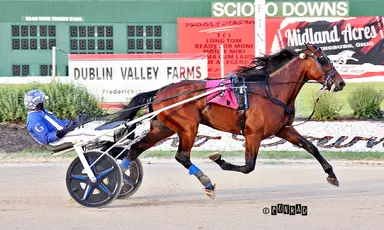 Harness:  Trainer change for Big Ranger