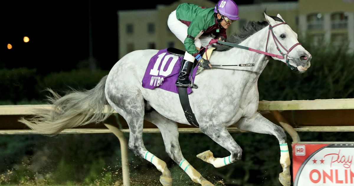 Jubawithatwist romps in Sam Huff Breeders' Classic